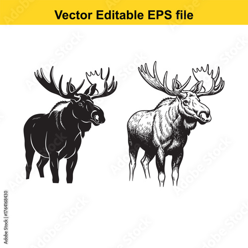 Vector art of two moose, one in silhouette and the other in detailed sketch, standing side by side