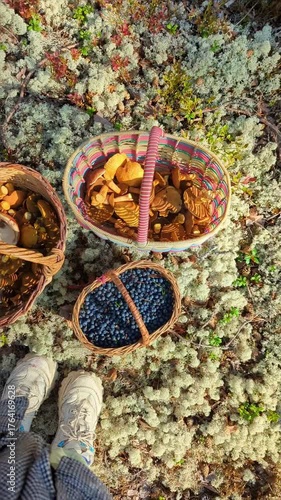 Baskets filled with freshly picked mushrooms and blueberries on forest moss. Autumn harvest scene symbolizing natural food, outdoor lifestyle, and sustainable foraging. Vertical top view.