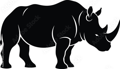 Rhino rhinoceros animal wildlife mammal nature safari horn africa zoo big wild