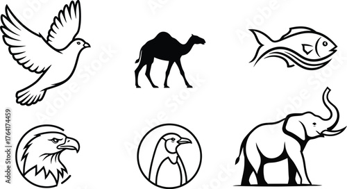 Animals bird camel fish eagle penguin elephant wildlife nature zoo safari vector