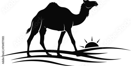 Camel desert silhouette animal wildlife nature travel tourism sand dune sun horizon