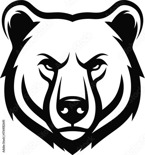 Bear animal mammal wildlife predator carnivore forest nature grizzly wild zoo