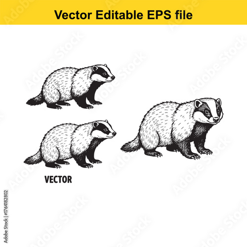 Vector art of three badgers in a row