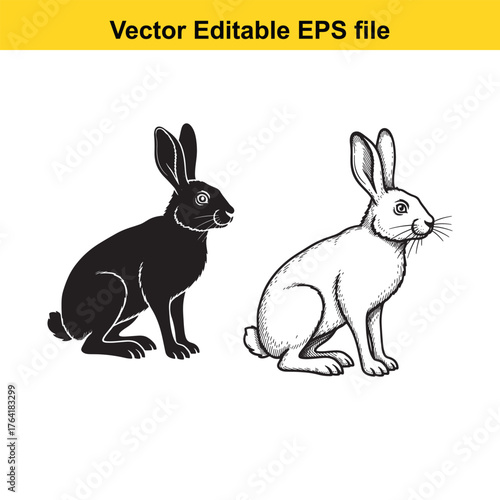 Vector art of silhouette and illustration of a rabbit