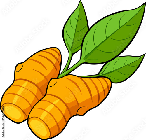Turmeric Vector Illustration – Root Spice Design for Organic, Herbal, and Healthy Food Concepts