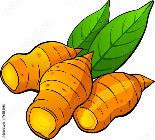 Turmeric Vector Illustration – Root Spice Design for Organic, Herbal, and Healthy Food Concepts
