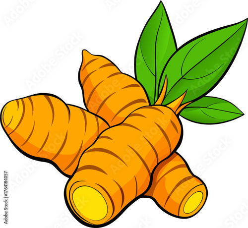 Turmeric Vector Illustration – Root Spice Design for Organic, Herbal, and Healthy Food Concepts