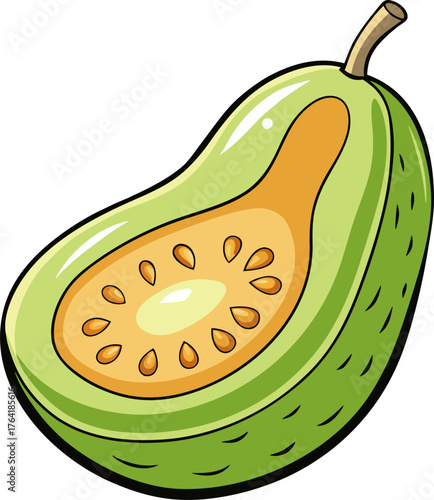 Wax Gourd Vector Illustration – Fresh Green Melon Vegetable Design for Organic, Farm, and Food Themes