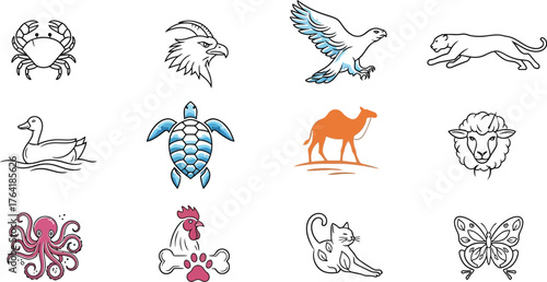 Animal illustrations crab eagle duck octopus turtle cat sheep camel butterfly