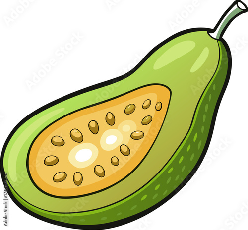 Wax Gourd Vector Illustration – Fresh Green Melon Vegetable Design for Organic, Farm, and Food Themes