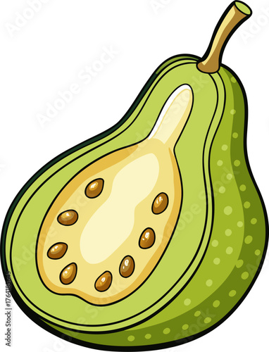 Wax Gourd Vector Illustration – Fresh Green Melon Vegetable Design for Organic, Farm, and Food Themes