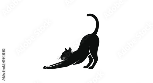 Cat stretching feline yoga pet animal silhouette black domestic mammal cute
