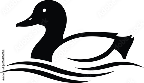 Duck water bird animal wildlife nature swimming lake pond river fowl avian