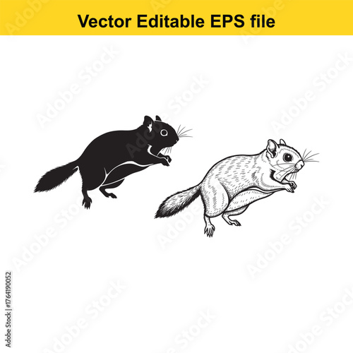 Vector art of two squirrels, one black silhouette and one detailed drawing, isolated on a