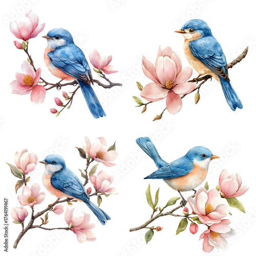 Watercolor Blue Bird on Blooming Magnolia Branch. Hand Painted Spring Floral Illustration isolated on a transparent background