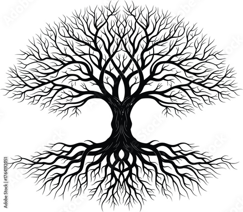 Silhouette of a detailed bare tree with roots on a white isolated background