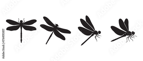 Dragonfly Silhouette Icon Set. Wing Position Variants for Nature and Design.