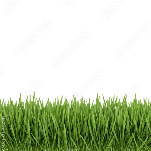 Fresh Green Grass Border Isolated on transparent Background