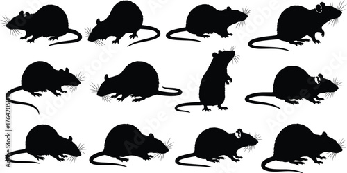 Rat animal silhouettes in various poses, sitting standing walking crouching positions, rodent wildlife illustration, pest control concept, cad drawing flat vector illustration