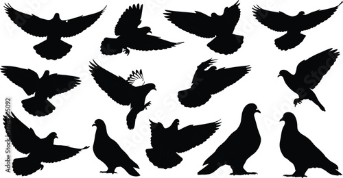 Pigeon bird silhouettes flying and standing, flock of doves in motion, perched and soaring poses, cad drawing flat vector illustration