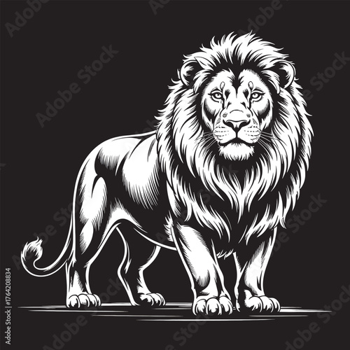 Majestic Lion Illustration with Shaggy Mane on Black Background