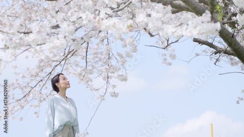 桜並木を見上げる若い女性　ライフスタイルイメージ