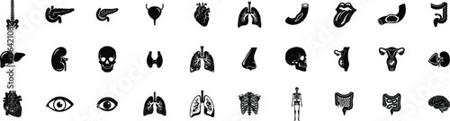 Medical or Human organ icon set. Containing brain, heart, liver, lung, bone, skull, kidney, ear, nose. Editable vector illustration