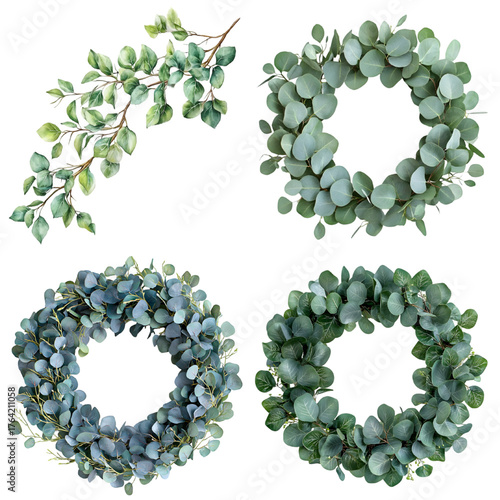 Watercolor wreath with green eucalyptus leaves and branches. isolated on a transparent background