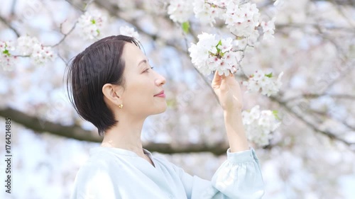 桜の花びらを見る若い女性　ライフスタイルイメージ