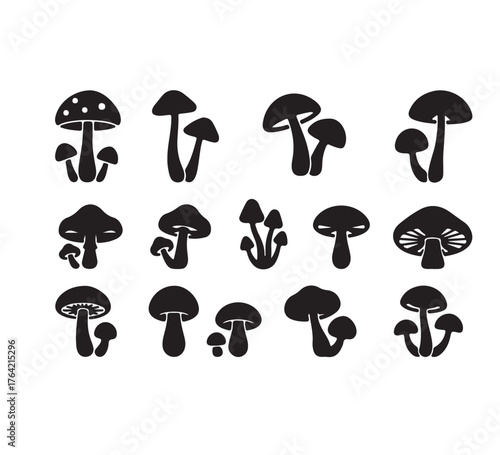 Silhouette of a Variety of Mushrooms Edible Fungi, Mycological Shapes, and Diverse Forest Flora