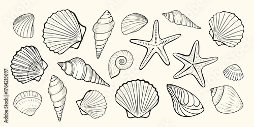 Collection of hand drawn seashells and starfish illustrations on a light background