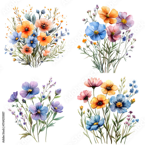 Wildflower watercolor. Floral isolated for wedding, invitation, greeting cards. Watercolour flower isolated on a transparent background