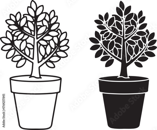 Two potted plants one in outline and one in silhouette