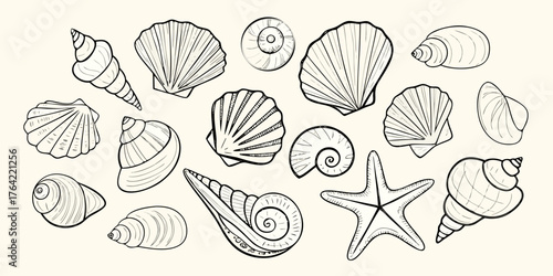 Collection of hand drawn line art seashells and starfish on a cream background