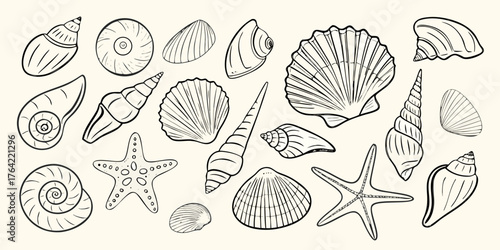 Collection of hand drawn line art seashells and starfish on a light background