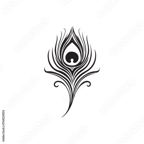 elegant peacock feather silhouette vector illustration design.