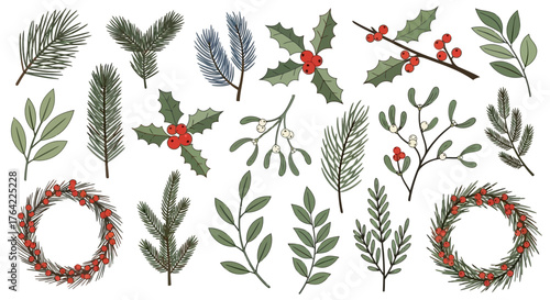 Festive Botanical Collection Hand-Drawn Winter Foliage and Berry Wreaths