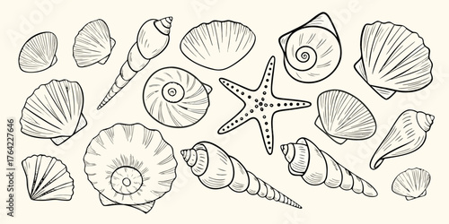 Collection of hand drawn seashells and starfish illustrations on a light background