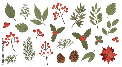 Elegant collection of festive winter botanical elements for seasonal designs