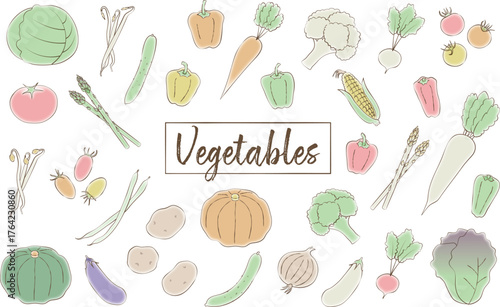 野菜のイラストセット