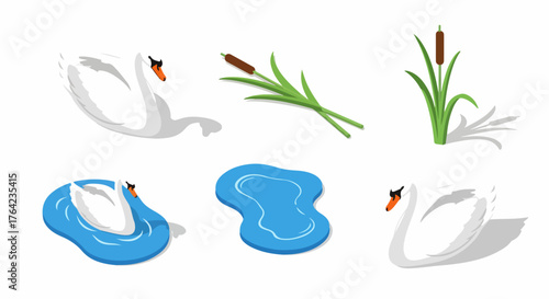 Isometric pond elements collection: white swans, blue water puddles, and green cattails.