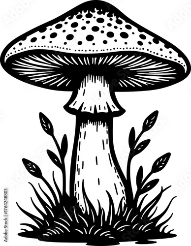 Wild Mushroom Forest Illustration”