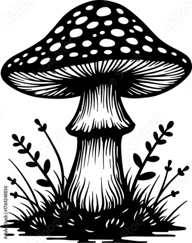 Wild Mushroom Forest Illustration”