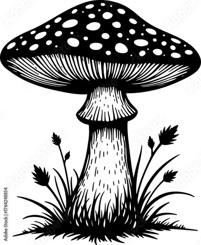 Wild Mushroom Forest Illustration”