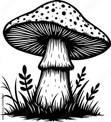 Wild Mushroom Forest Illustration”