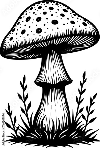 Wild Mushroom Forest Illustration”