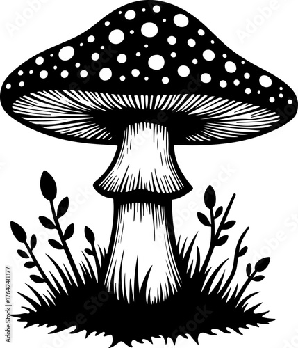 Wild Mushroom Forest Illustration”