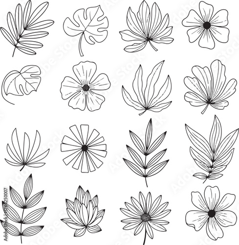 Elegant floral design with vibrant colors and classic typography for decorative applications