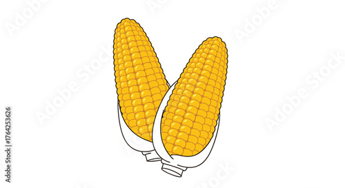 Two fresh corns on the cob ready to be cooked and eaten.