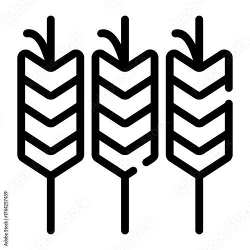 seed